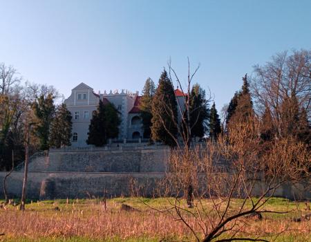 Zamek w Rogów Opolski